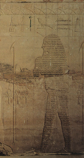 本当は体は緑。