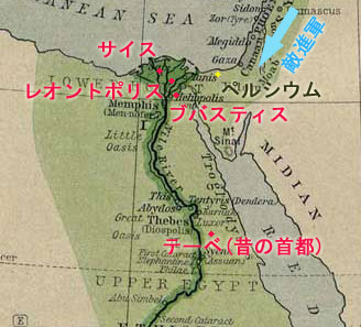 �l�R�̂����Ńs���`���ȁB