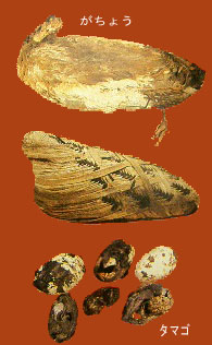 ���҂̂��͂�