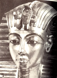 �I���̒��w��Ƃ��̐��w�̒S�C�\�b�N����������