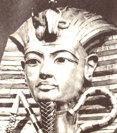 �L���b��