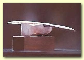 �ς���ł����B�����납��B