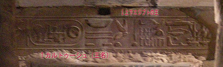 �ʐ^���{�P�Ă�̂͂��܂�