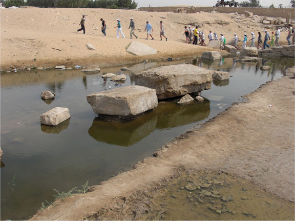 ���n�̐l���킭�u�Z������āA�r���Œn�����ʂ��オ���Ă�v���A�����ł��B