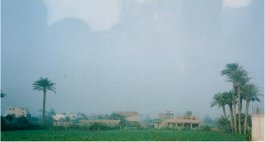 �����B�e���̂Q�B�i�C����قƂ�̑�