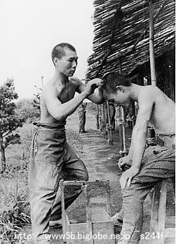 �Ή��ޒ��ɎU�����ĖႤ���䒆��