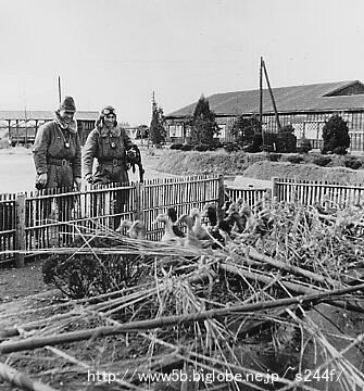 ���̃A�q����O�ɁA�_�ƈ���