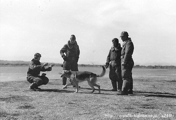 ���̂S���̂����A�R������v����