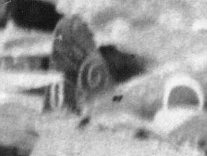 �ʐ^�P�̒��������g��