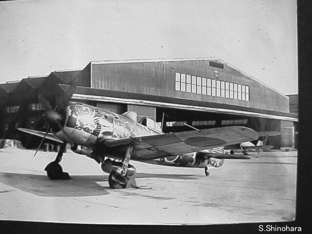 ���ۂŎB�e���ꂽ22����̂S����