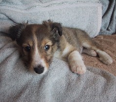 �C����������`��