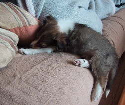 �������������ǁE�E�E�n��