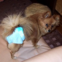 ���I���c�I