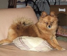 �����ɂقǂ悭�t�B�b�g�I