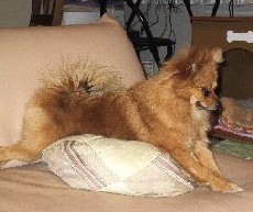 �E�E�E�E�E�E