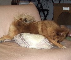 ���������I