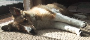 ���Ȃ��ł����Q�E�E�E�����u�ҁ[��I�v