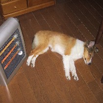 �����C�����`��