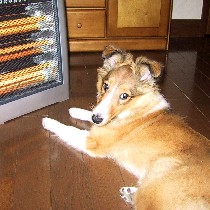 �g������`�I