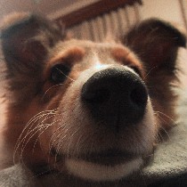 �@�f�J�`�I