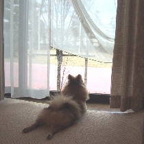 ����𒭂߂郊�������