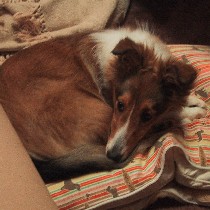 �܂�܂�A��