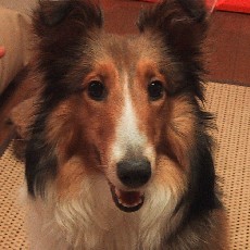 �����͂����Ƃ肵�Ă��ł����B