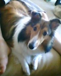 ���Q���̕v�̑��̊Ԃɂ����ۂ�͂܂��Ă���A�~�B���������E�E�E