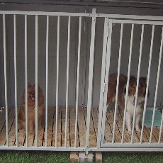 �Ȃ�ƂȂ�����Ȃ��E�E�E