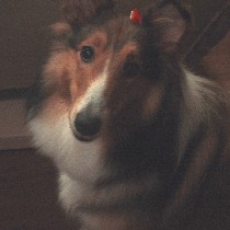 �A���i�{���A�~�j�����