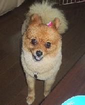 �������Ẵ��������