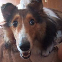 �ЂƂ�ڂ����͂��݂��`�悧�`