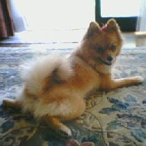 ������Ă܂�