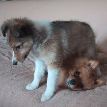 �����A�����̉�����u����ɂ��́�v