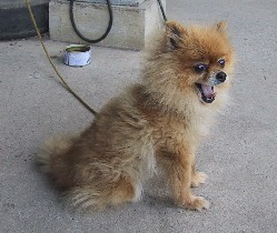 �����с`�I