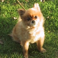 ���Ɛ��T�}�[�J�b�g�I