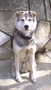 ��[�E�E�E�E