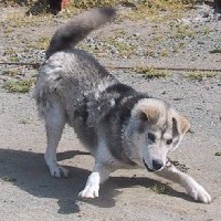 �������I