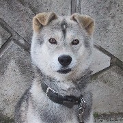 �������I