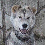 ���F�`��