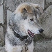 �����`��