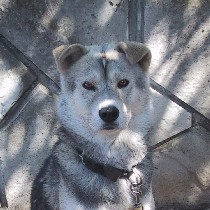 ���[��E�E�E�E�E�E