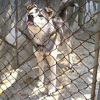 ���܂ɂ͂���Ȃ����ڂȊ���E�E�E�E