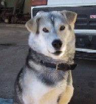 ����ł��B���\�A���j��(��)�ł���