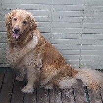 �ɂ������