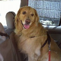 �܂��܂��h���C�u��