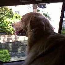 �z�Ƃ��Ă���