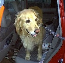 �͂�s������I���H�s���Ȃ��́H