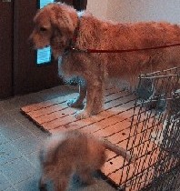 ����[�I�ߊ���Ă��Ȃ��ł��`�E�E�E