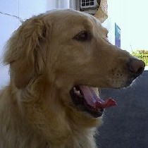 ���`��i�傠���сj